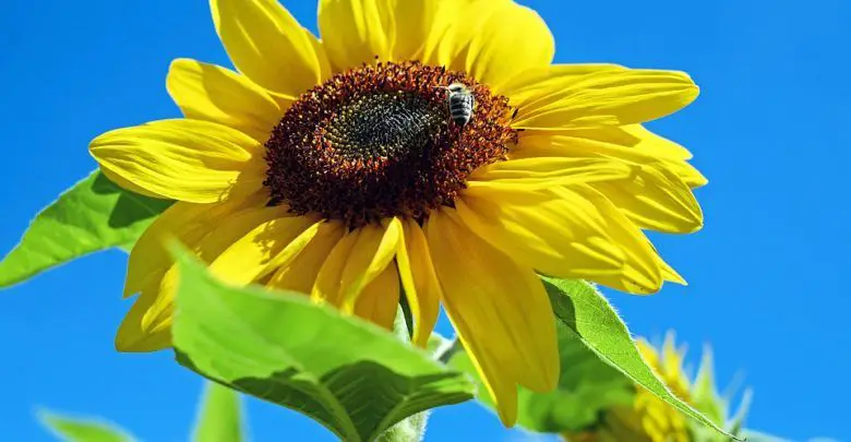 Photo of Tips for Staying Cool in the Heat