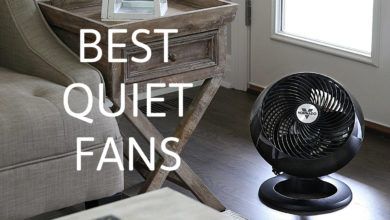 Photo of Best Quiet Fans