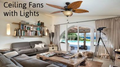 Photo of Best Ceiling Fans with Lights