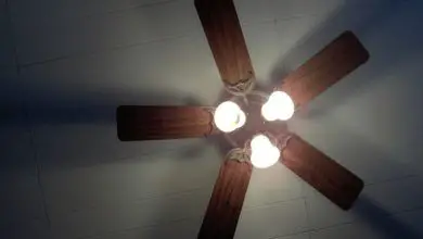 Photo of How Ceiling Fans Work and Why You Should Have Them