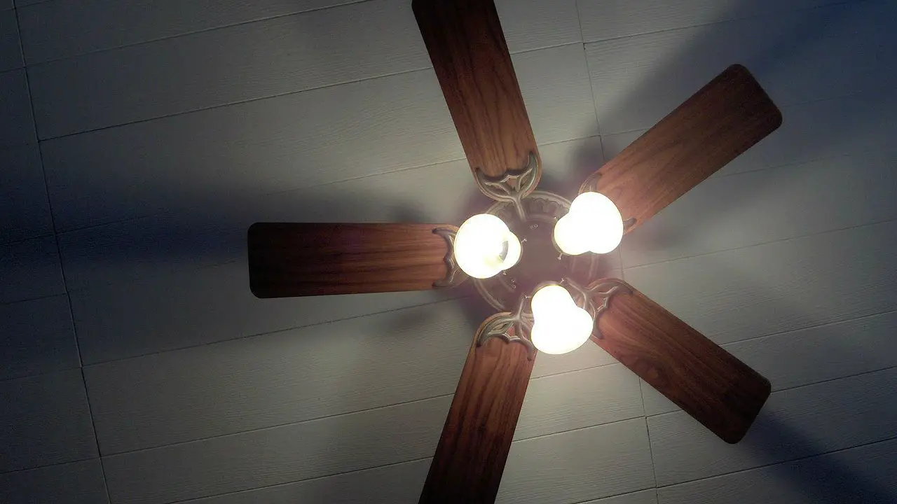 How Ceiling Fans Work and Why You Should Have Them