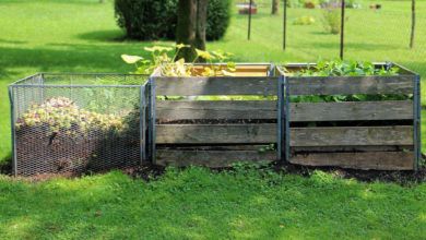 Photo of Can You Create Energy From Compost?