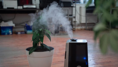 Photo of Difference Between Humidifier and Purifier