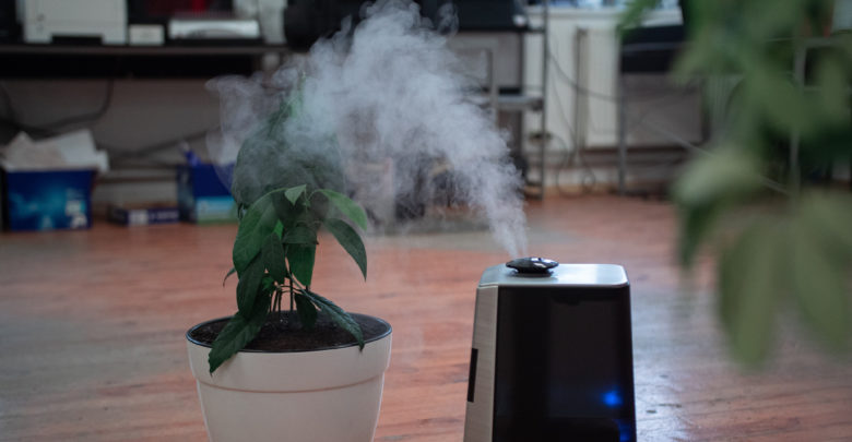Photo of Difference Between Humidifier and Purifier