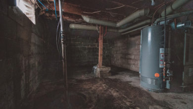 Photo of Basement Humidity and Dehumidifying It: What You Need to Know