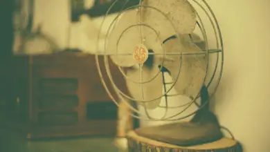 Photo of When Were Fans Invented?