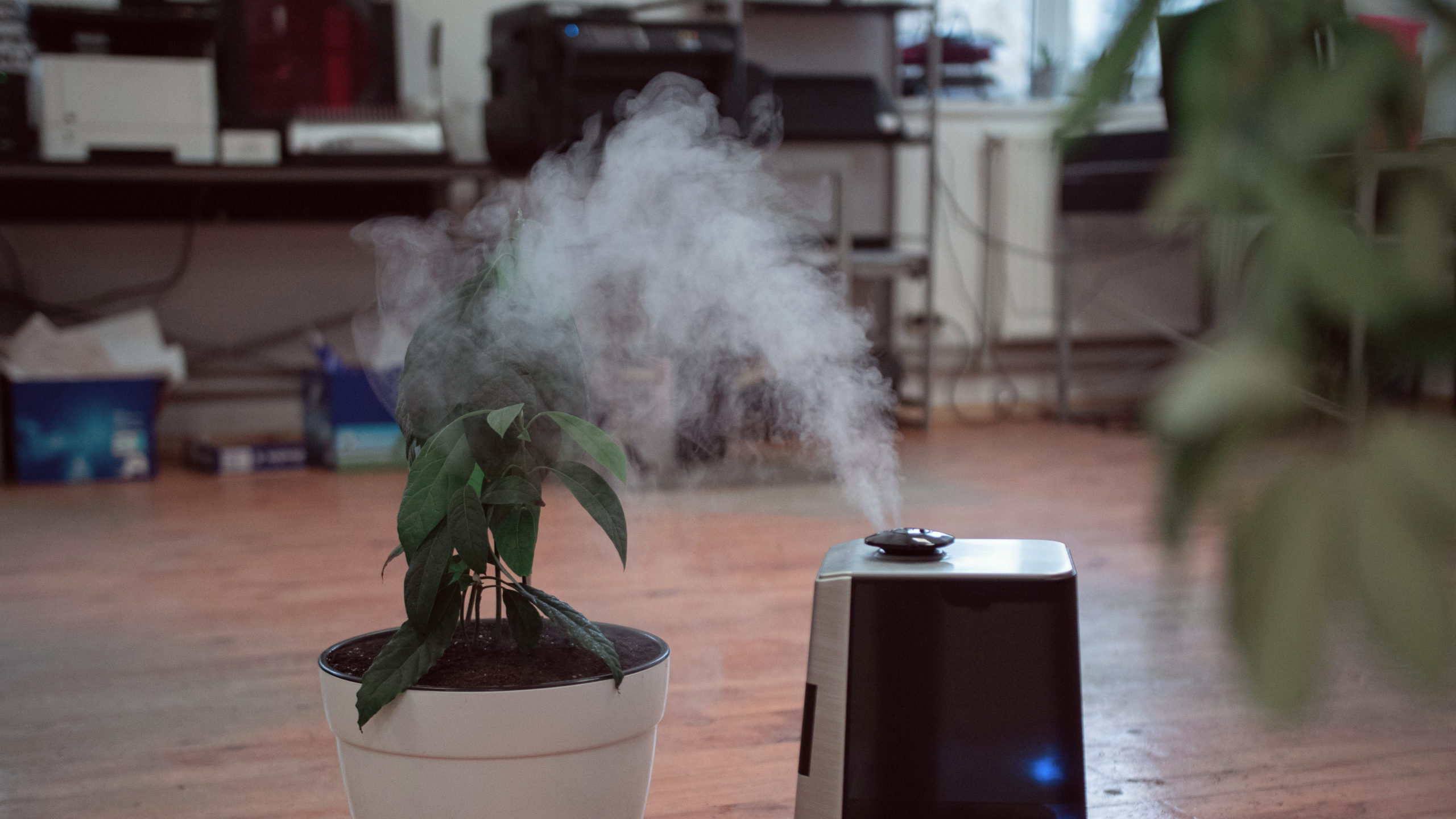 Where to Put Humidifier for Best Results?