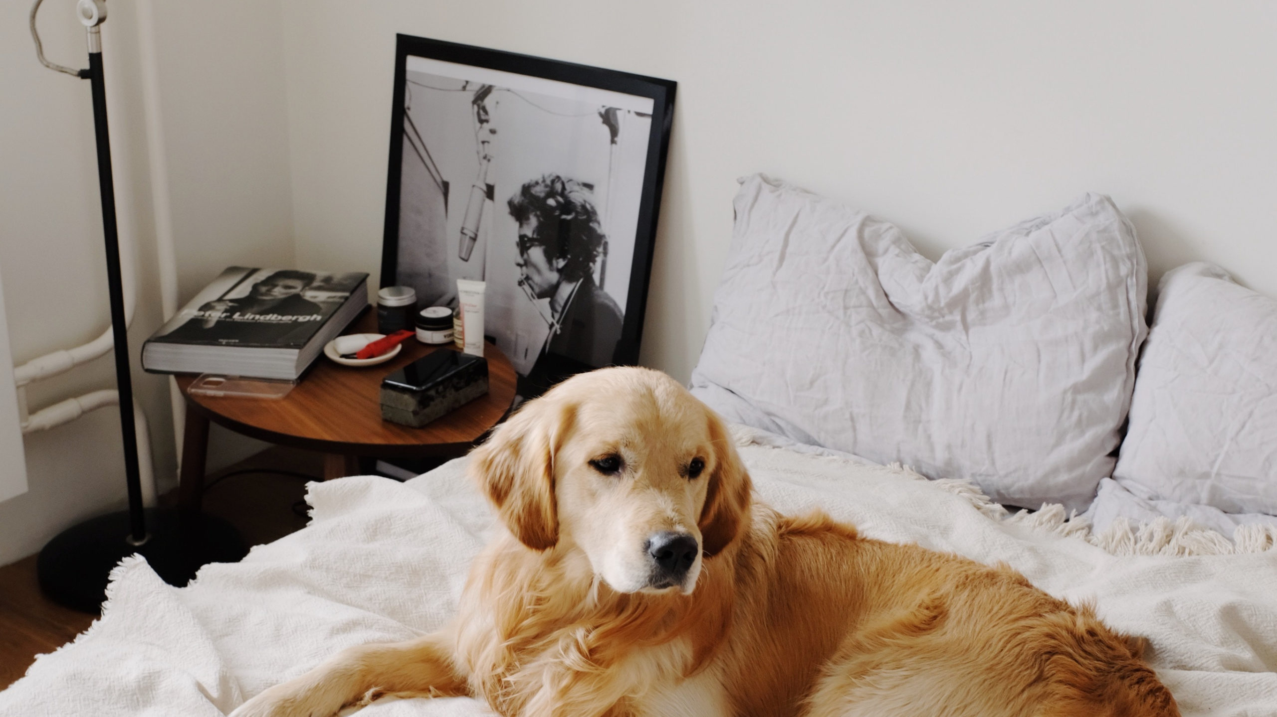 Is It OK to Cover a Heating Vent?